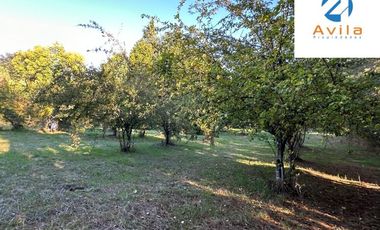 Villarrica parcelas en venta sector los Guindos a un costado del Colegio Alemán Camino Villarrica Pucón VTAP157