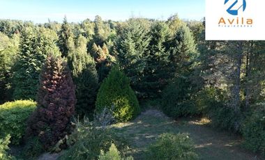 Villarrica parcelas en venta sector los Guindos a un costado del Colegio Alemán Camino Villarrica Pucón VTAP157