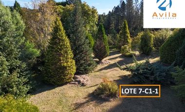 Villarrica parcelas en venta sector los Guindos a un costado del Colegio Alemán Camino Villarrica Pucón VTAP157