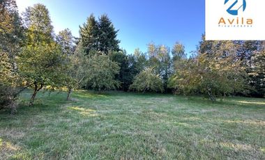 Villarrica parcelas en venta sector los Guindos a un costado del Colegio Alemán Camino Villarrica Pucón VTAP157