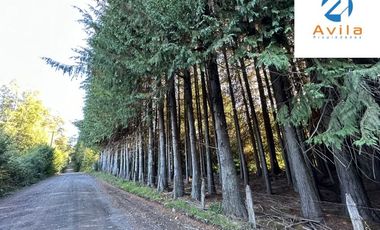 Villarrica parcelas en venta sector los Guindos a un costado del Colegio Alemán Camino Villarrica Pucón VTAP157