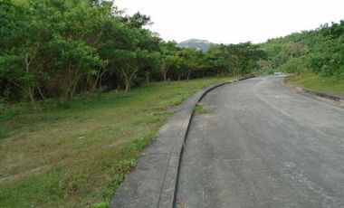 168 READY FOR BUILDING Lot for Sale in Greenwoods Cebu City