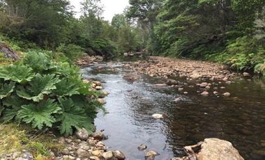PARCELA, ALERCES DE LAUCA, PUERTO MONTT