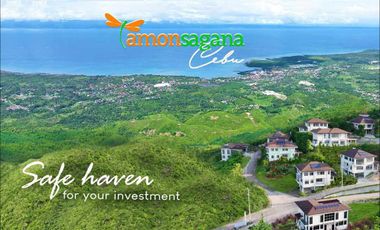 For Sale 452 Sq.m Residential Lot for Sale in Balamban, Cebu