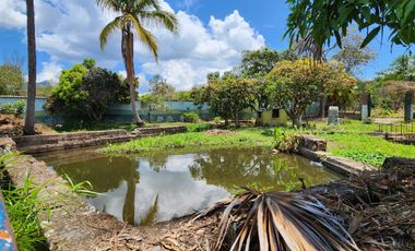 VENDO FINCA CHINAUTA EL OASIS