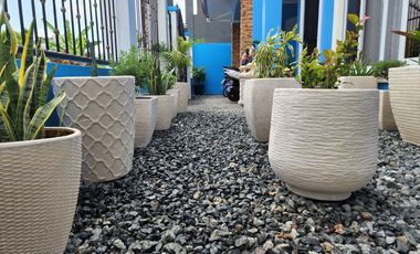 For Sale : 4BR Elegant House in Maribago LapuLapu City