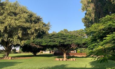 Vendo lotes de campo en Chincha