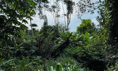 DISEWAKAN! RUMAH USAHA @ RAYA CIUMBULEUIT, COCOK UNTUK CAFE/ HOTEL