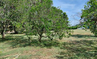 Venta de Lote Piedecuesta