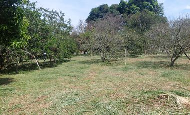 Venta de Lote Piedecuesta