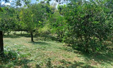 Venta de Lote Piedecuesta