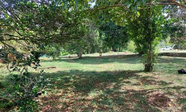 Venta de Lote Piedecuesta