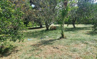 Venta de Lote Piedecuesta