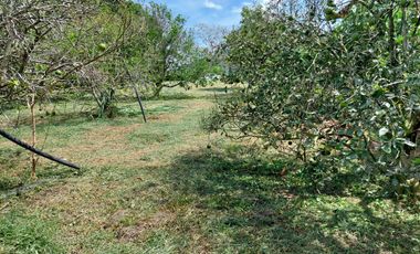 Venta de Lote Piedecuesta