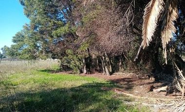 V 1568-123-LR- Parcela con Casa en Villa Alegre