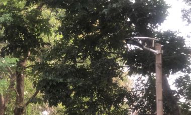 VENTA de Hacienda, quinta, campo sector Progreso