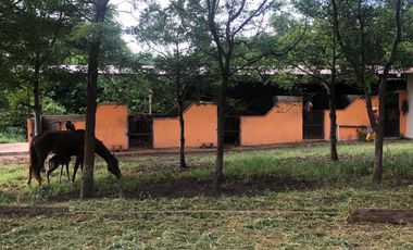 VENTA de Hacienda, quinta, campo sector Progreso