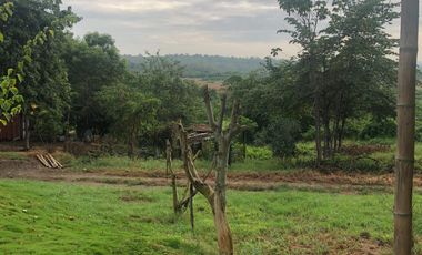 VENTA de Hacienda, quinta, campo sector Progreso