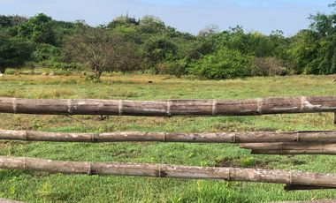 VENTA de Hacienda, quinta, campo sector Progreso