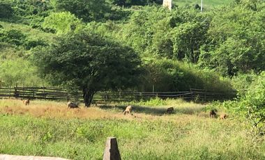 VENTA de Hacienda, quinta, campo sector Progreso