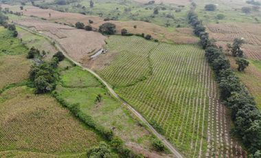 Palenque, Venta Excelente Hacienda con Plantación y Producción Establecidas