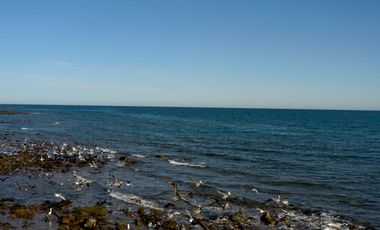Se vende Terreno frente al Mar