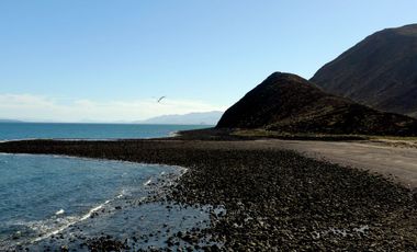 Se vende Terreno frente al Mar