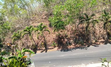 Villa and resto near Baron Beach Gunung kidul yogyakarta