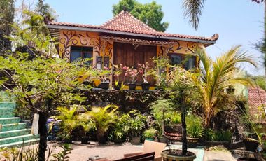 Villa and resto near Baron Beach Gunung kidul yogyakarta