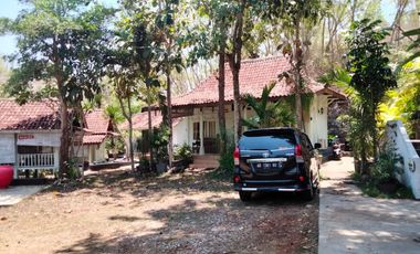 Villa and resto near Baron Beach Gunung kidul yogyakarta