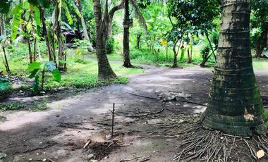 Land for sale in Laguna, San Pablo City