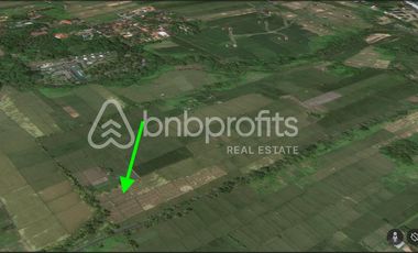 Land of Dreams Unveiled: Leasehold Paradise in Tampih – Kedungu – Craft Your Balinese Escape!