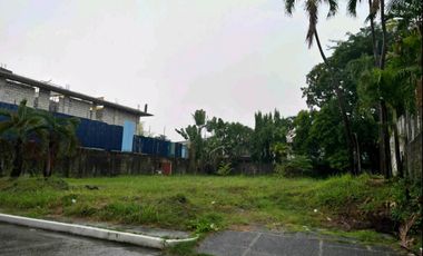Residential Lot for sale in Lubang, Occidental Mindoro