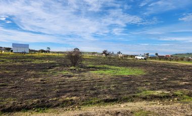 Se vende terreno de 5.000 m2 sector Las Damas, La Estrella