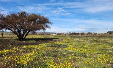Se vende terreno de 5.000 m2 sector Las Damas, La Estrella