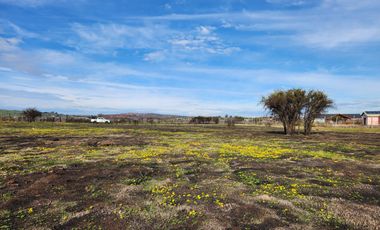 Se vende terreno de 5.000 m2 sector Las Damas, La Estrella