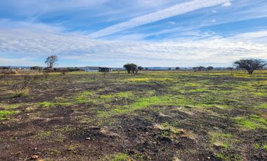 Se vende terreno de 5.000 m2 sector Las Damas, La Estrella