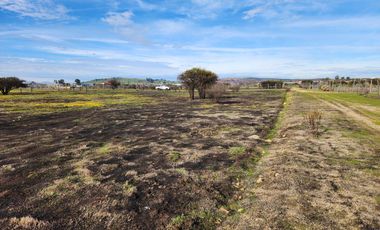 Se vende terreno de 5.000 m2 sector Las Damas, La Estrella