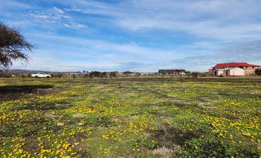 Se vende terreno de 5.000 m2 sector Las Damas, La Estrella