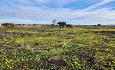 Se vende terreno de 5.000 m2 sector Las Damas, La Estrella
