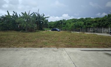 173 sq.m. prime corner lot for sale  in Alegria Palms Dos-Cordova, Cebu