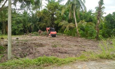 1 ngan of land in a peaceful atmosphere is for sale in Nuea Khlong, Krabi.