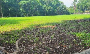 EASY TO PAY - 1,400 Sqm Fairway Lot For Sale Near Alabang Muntinlupa
