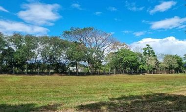 EASY TO PAY - 1,400 Sqm Fairway Lot For Sale Near Alabang Muntinlupa