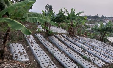 2200 M2 Tanah Strategis Cocok Untuk Cluster / Villa, Jambudipa, Cisarua, Bandung Barat