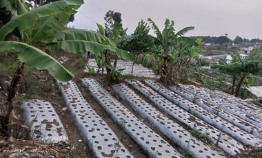 2200 M2 Tanah Strategis Cocok Untuk Cluster / Villa, Jambudipa, Cisarua, Bandung Barat