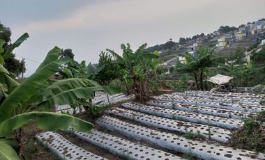 2200 M2 Tanah Strategis Cocok Untuk Cluster / Villa, Jambudipa, Cisarua, Bandung Barat