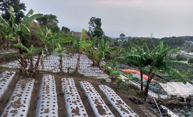2200 M2 Tanah Strategis Cocok Untuk Cluster / Villa, Jambudipa, Cisarua, Bandung Barat