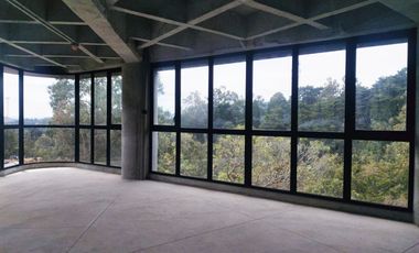 PR20202 Oficina en arriendo en el sector Altoa de Palmas