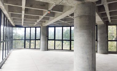 PR20202 Oficina en arriendo en el sector Altoa de Palmas